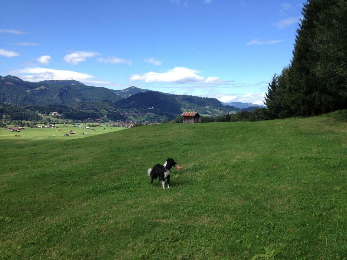 Geigers Ferienhaus Tiefenbach bei Oberstdorf المظهر الخارجي الصورة